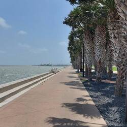 "Malecon"