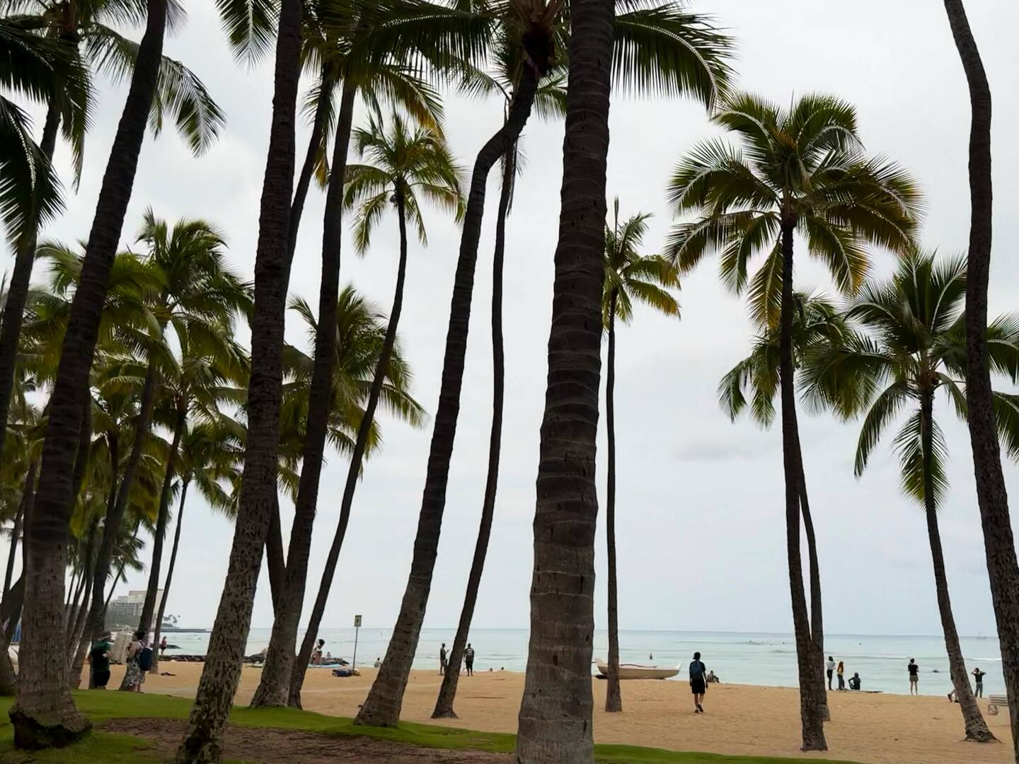 Waikiki Beach