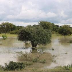 ...ganze Landstriche sind überflutet
