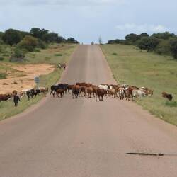 ...als Menschen in der Region