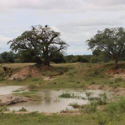 Überall steht das Wasser...