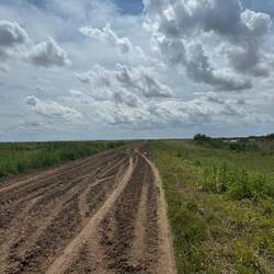 Hier ging es für ca. 5 km durch den Matsch