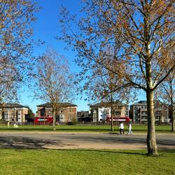 Double deckers everywhere!