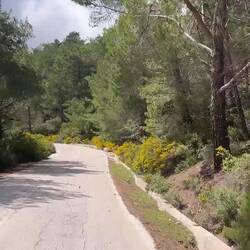 Frühling auf Rhodos
