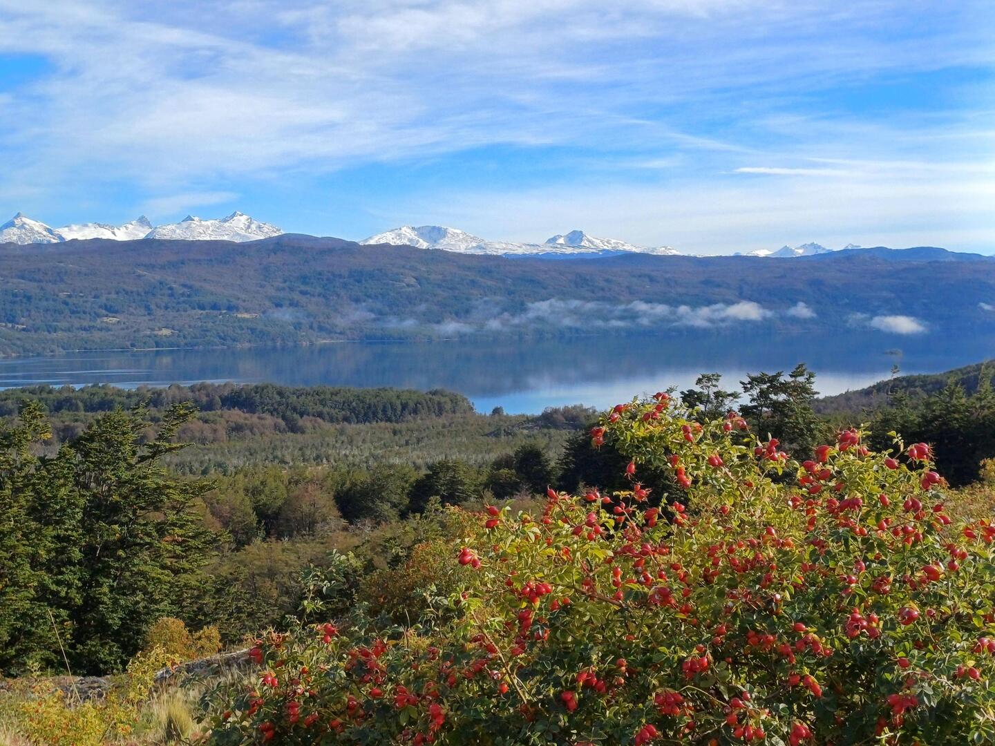 Lago Chacabuco
