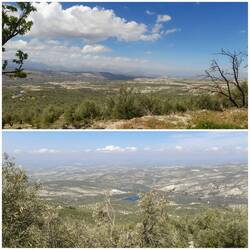 "Netzstrumpf-Landschaft" Jaen