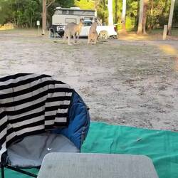 Wenn man morgens ausm Camper steigt...