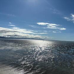Pohara Beach - Lone lady collecting seaweed at low tide