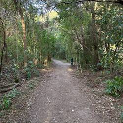 Wainui Falls - start of walk