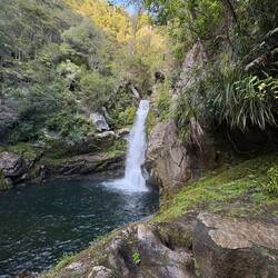 Wainui Falls