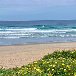 Und der südlichste Surfer heute 😊