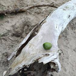 Nicht Landart sondern Standart. Die Natur hat alles so hingelegt