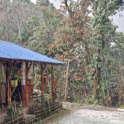 Prämonsum mit Hagel im Forestcamp
