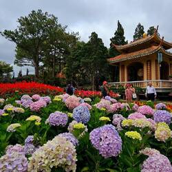 Endstation ist die Truc Lam Buddhist Monastery.