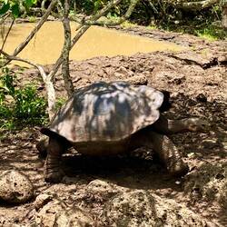 Tranquillement... quelle leçon !