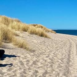 Pause mit Keksen und Nickerchen im Sand