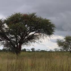Ich erreiche den Campingplatz...