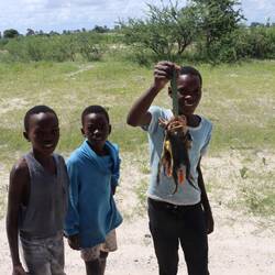 ...versuchen diese drei Jungs mir einen Bund Frösche zu verkaufen