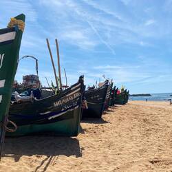 Qualidia Fischereihafen