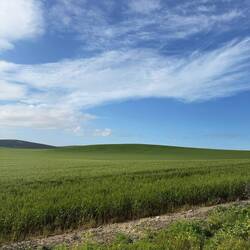 Vorbei am Windows XP Hügel