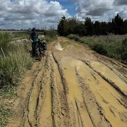 Zum Glück haben wir die Böcke gesäubert