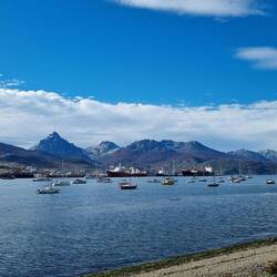 The bay