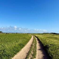 Die letzten 3 Kilometer nach Vila Nova de Milfontes führten durch grüne Wiesen.