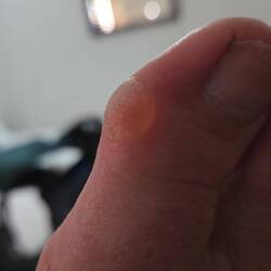 The price I paid today