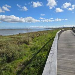 The never-ending boardwalk