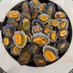 Limpets, not as tasty as they look. Maybe it's not limpet season yet