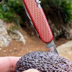 Genug für mich heute. Eine kleine Stärkung, dann wandere ich zurück.