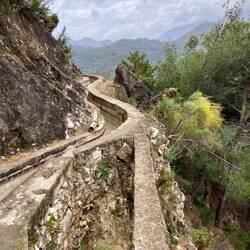 Ich gehe schon seit einiger Zeit ohne Zaun, es kommt auch keiner mehr