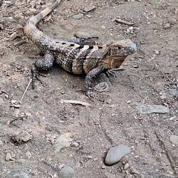 Besuch direkt am Wohnmobil