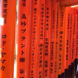 Og ind imellem kunne han slet ikke nå at løfte hovedet, fordi portene stod så tæt 😂