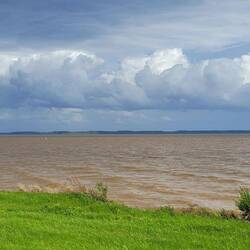 Old Brown River