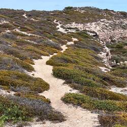 Walk the Yorke track