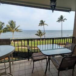 Christian hat direkt 2 Wale 🐋 in der Ferne springen sehen.