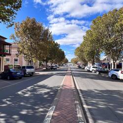 Maitland's main street