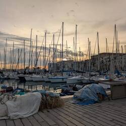 Morgenstimmung am Hafen