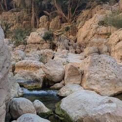 Über diese Steine müssen wir noch klettern