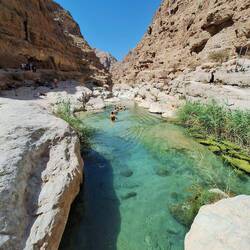 Der Wadi-Pool kurz vor 11 Uhr