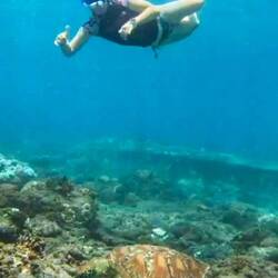 D Tanja und d Turtle 😏🤿😍