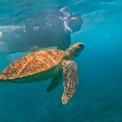 De Janis und d Turtle 😏🤿🥰