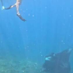 Was mer so unter Wasser erlebed? Schwierig in Wort und Bilder z fasse. Aber da es chliises Video ☺️🤿🤙🏽