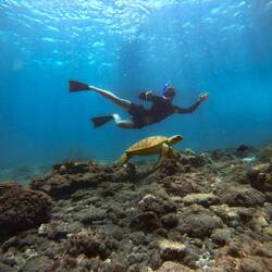 De Janis und d Turtle 😏🤿🥰