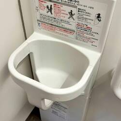 A place to put your unruly child while you use the toilet. I'm glad I didn't grow up in Japan.