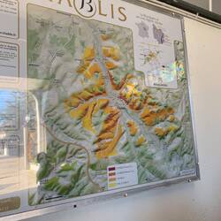 Learning about where to harvest the finest Chardonnay grapes in Chablis