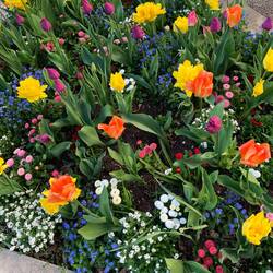 Wow! It is spring in France!