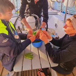 Ecossage des petits pois frais avec mamie et Serge.