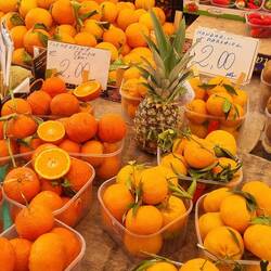 Les agrumes de la Sicile sont tous excellents